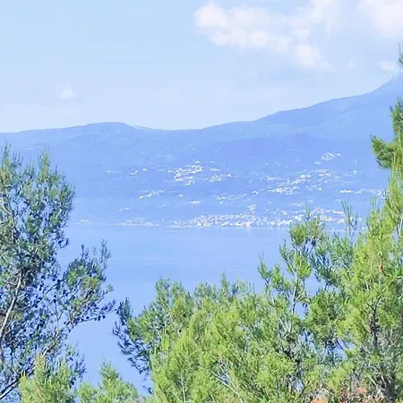 App Hilda * 里耶卡